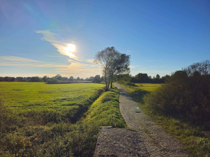 Im Oderbruch nach Westen